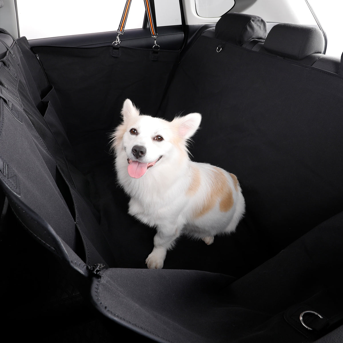 A white and tan dog sitting in a black car seat cover installed inside a vehicle trunk.