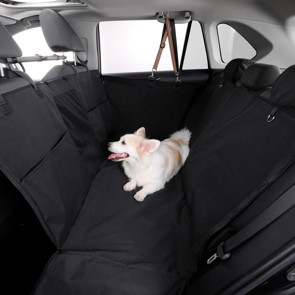 A small white and tan dog lies on a black car seat cover installed across the rear bench seats inside a vehicle.