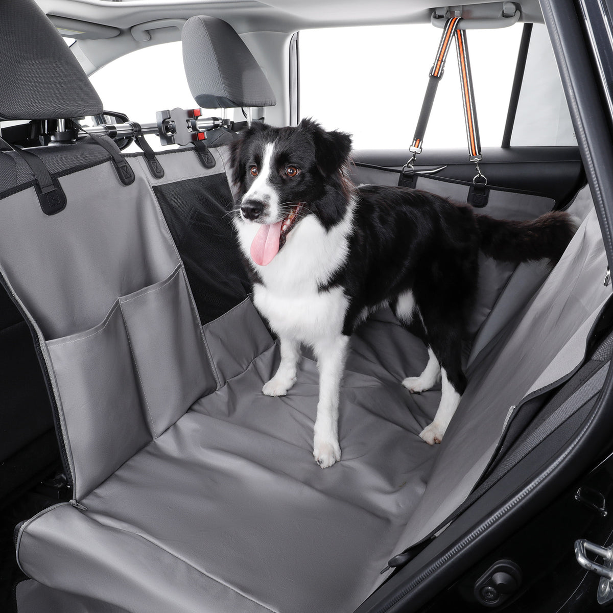 A black and white dog stands on a gray car seat cover installed on the back seat of a vehicle. The seat cover has side pockets and a harness attachment point, shown in use with the dog inside the car.